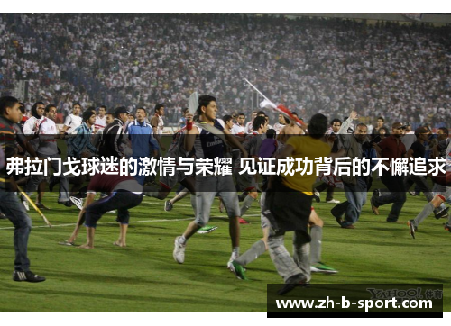 弗拉门戈球迷的激情与荣耀 见证成功背后的不懈追求 弗拉门戈球迷的激情与荣耀 见证成功背后的不懈追求